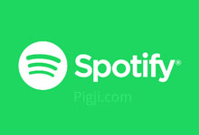 Spotify合租多少钱一个月?Spotify会员跟免费版区别_Justmyscoks中文网